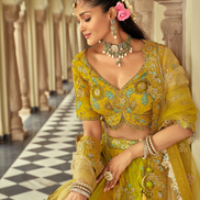 Elegant Silk Lehenga with Cut-Work and Mirror Embellishments Embroidered Blouse & Net Dupatta - Buy