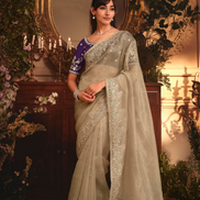 Elegant Beige Organza Saree Intricate Butta Embroidery with Heavy Stone Work Border - Buy