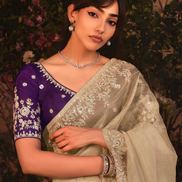 Elegant Beige Organza Saree Intricate Butta Embroidery with Heavy Stone Work Border - Buy