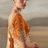 Orange Pure Tissue Silk Saree with Designer Contrast Hand Work Blouse