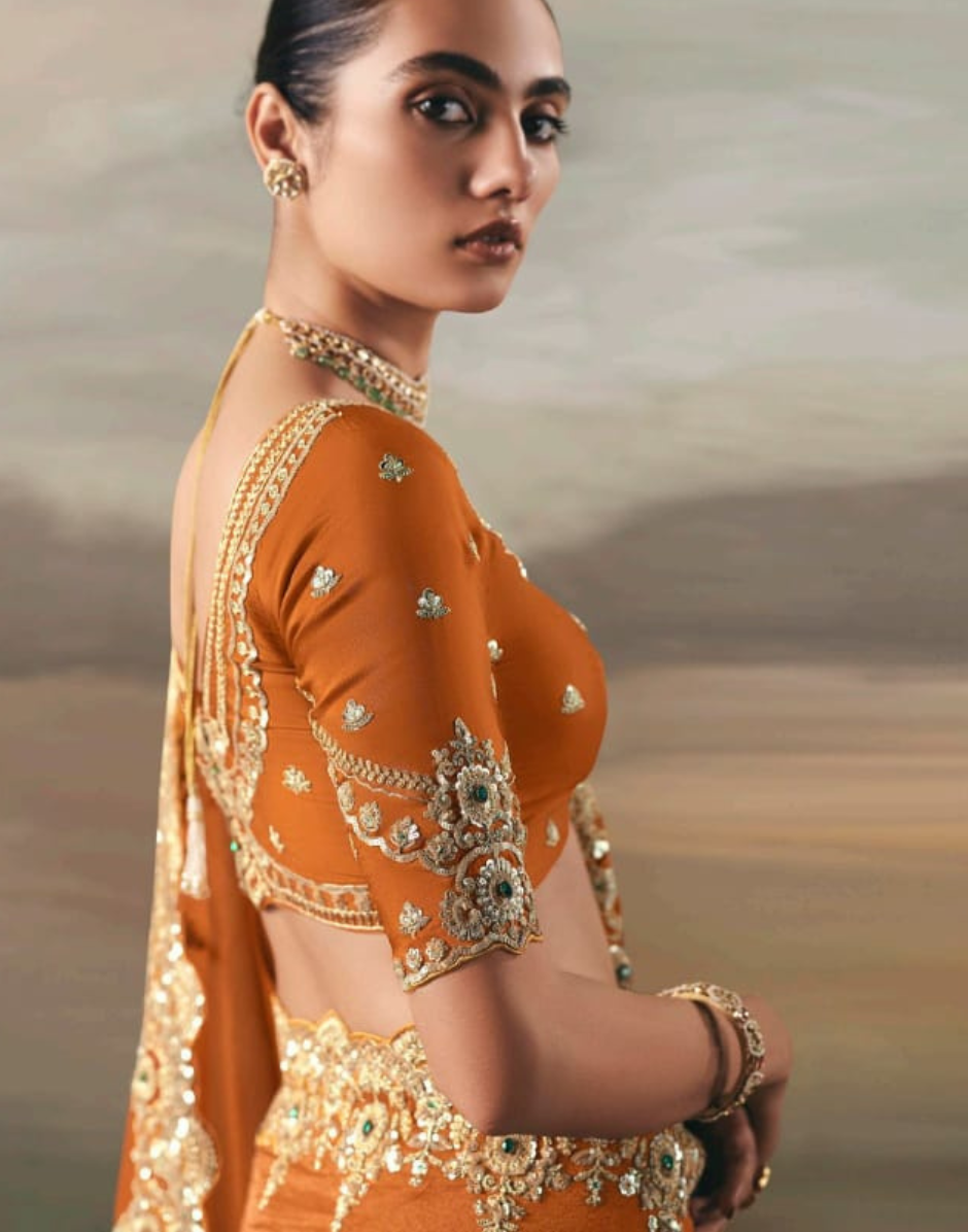 Orange Pure Tissue Silk Saree with Designer Contrast Hand Work Blouse