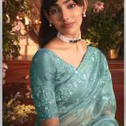 Luxury Sky Blue Organza Saree with Handcrafted Stone Border and Detailed Butta Embroidery - Buy