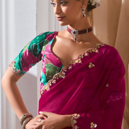 Graceful Embroidered & Embellished Saree with Printed Blouse Elegant Ethnic Ensemble - Buy