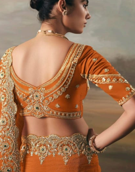 Orange Pure Tissue Silk Saree with Designer Contrast Hand Work Blouse