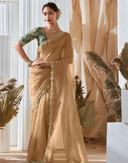 Stylish Lace Saree with Intricate Embroidery and Printed Blouse Bold & Beautiful - Buy