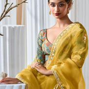 Graceful Embroidered & Embellished Saree with Printed Blouse Elegant Ethnic Ensemble - Buy