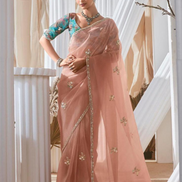 Graceful Embroidered & Embellished Saree with Printed Blouse Elegant Ethnic Ensemble - Buy