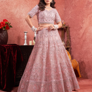 Blush Beauty Premium Baby Pink Lehenga with Mirror Zarkan Embellishments - Buy