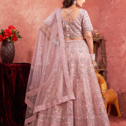 Blush Beauty Premium Baby Pink Lehenga with Mirror Zarkan Embellishments - Buy_1