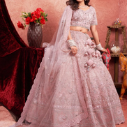 Blush Beauty Premium Baby Pink Lehenga with Mirror Zarkan Embellishments - Buy_2