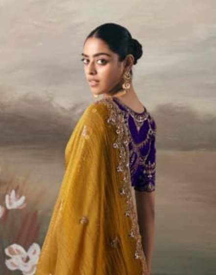 Classic Brown Fancy Tissue Silk Saree with Hand Work Designer Blouse_2