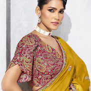 Classic Trendy Yellow Embroidered Saree with Contemporary Printed Blouse - Buy_1