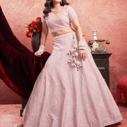 Delicate Charm Baby Pink Premium Net Lehenga with Traditional Zarkan Embroidery - Buy.