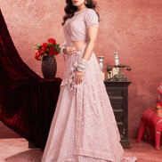 Delicate Charm Baby Pink Premium Net Lehenga with Traditional Zarkan Embroidery - Buy._1