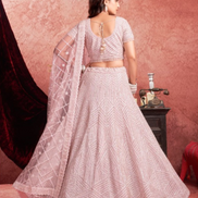 Delicate Charm Baby Pink Premium Net Lehenga with Traditional Zarkan Embroidery - Buy._2