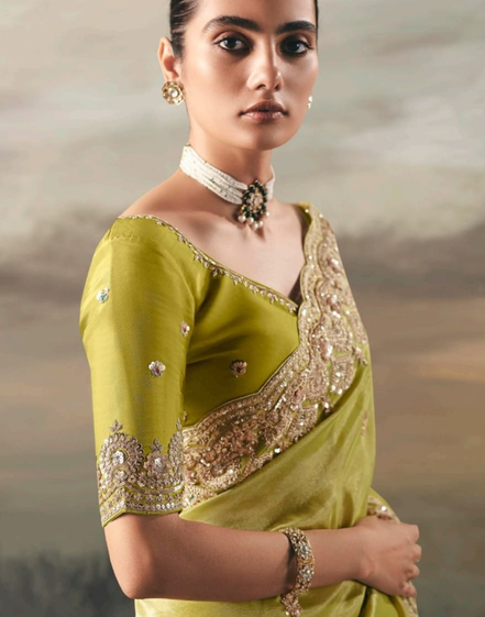 Luxury Pista Green Fancy Tissue Festive Saree with Designer Blouse_3