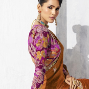 Minimalist Elegance Brown Embroidered Saree and Printed Blouse - Buy_1