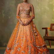 Modern Tissue Fabric Lehenga with Luxe Sequin Embroidery & Dupatta - Buy_2