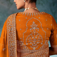 Orange Embroidered Fancy Saree Aari and Handwork Accents with Matching Blouse - Buy_2