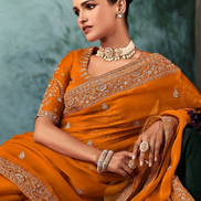 Orange Embroidered Fancy Saree Aari and Handwork Accents with Matching Blouse - Buy_3