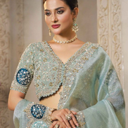 Premium Sea Green Organza Tissue Silk Saree with Sequins, Stone Embroidery & Satin Silk Blouse - Buy_1