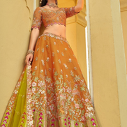 Premium Silk Embroidered Lehenga with Cut Work Border, Weaving Butti & Mirror Work Net Dupatta Set_1