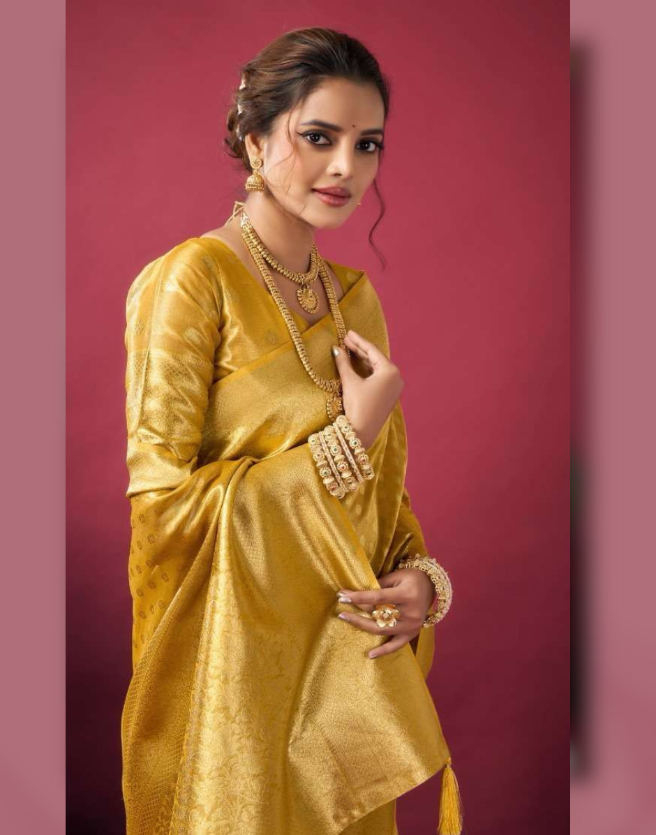 Shimmering Self-Woven Tissue Silk Saree and Blouse Set with Tassel Border Timeless Ethnic Charm - Buy_1