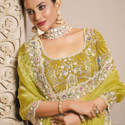 Stylish Lime Green Organza Satin Saree with Artistic Thread Embroidery & Stone Handwork with Satin Silk Blouse - Buy_1