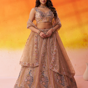 Traditional Bridal Net Lehenga Choli with Heavy Sequins Work and Dupatta - Buy