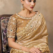 Traditional Kora Zari Tissue Silk Saree in Brown with Zardosi, Stones & Hand Embroidery Blouse - Buy_1