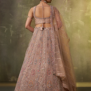 Trendy Net Fabric Lehenga Choli with Heavy Sequins Embroidery & Dupatta - Buy_1